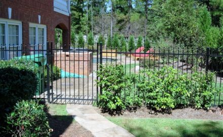 How to Border Your Backyard and Beautify Your Entire Property