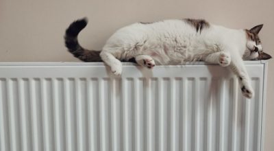 Best Heating Units for Energy Efficiency