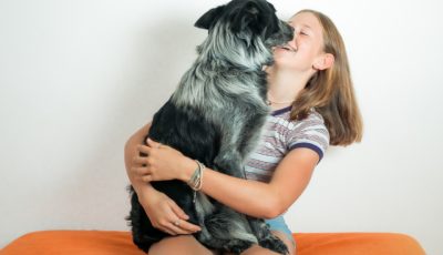 Useful Tips for Choosing the Right Pet Insurance