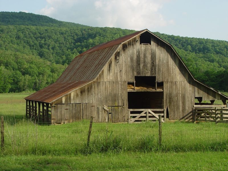 How to Build a Wooden Barn From Scratch