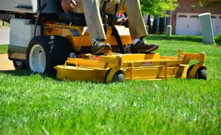 Tips To Choose The Right Fertilizer For Your Lawn