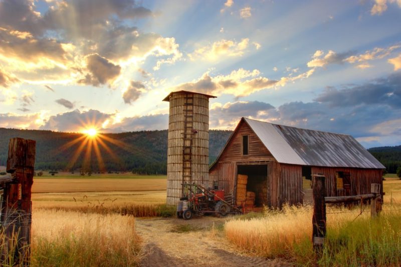 How to Build a Wooden Barn From Scratch