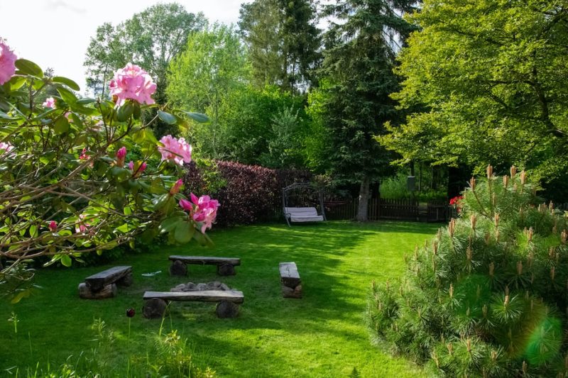 Looking at Your Backyard and How to Keep It Fresh