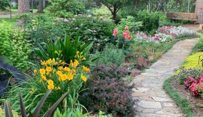 Landscaping Trends That Will Take Over in 2023