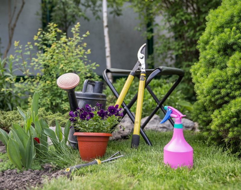 How To Make A Beautiful Garden On A Budget?