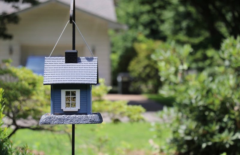 Your Front Yard Is Incomplete Without These 7 Things
