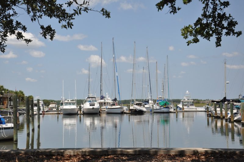 Activities to Try in Palm Harbor, FL