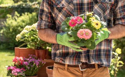 5 Reasons to Take up Gardening and How to Start