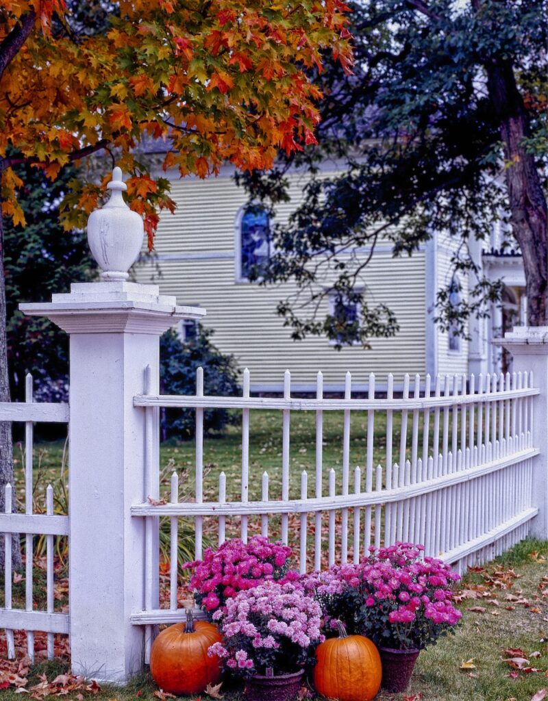 Enhancing Your Property's Privacy and Security With Fencing