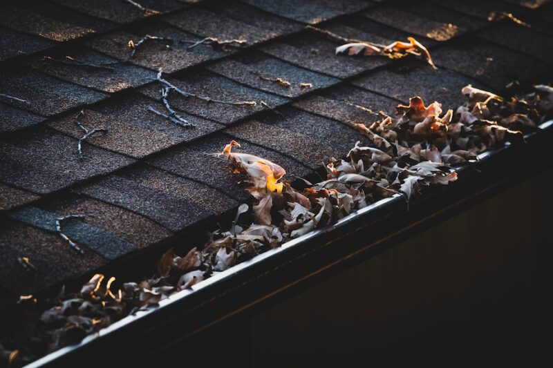 Why Regular Gutter Maintenance Is Essential for Homeowners and Landlords