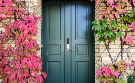 What’s the best front door to transform the front of your home?