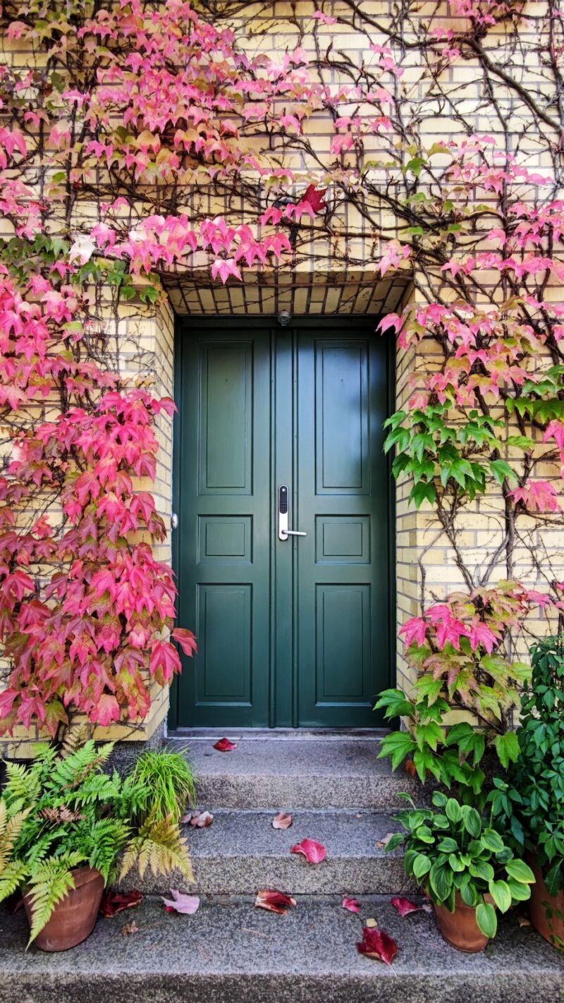 What's the best front door to transform the front of your home?