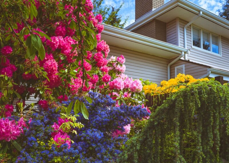 How to Improve Your Homes Landscape