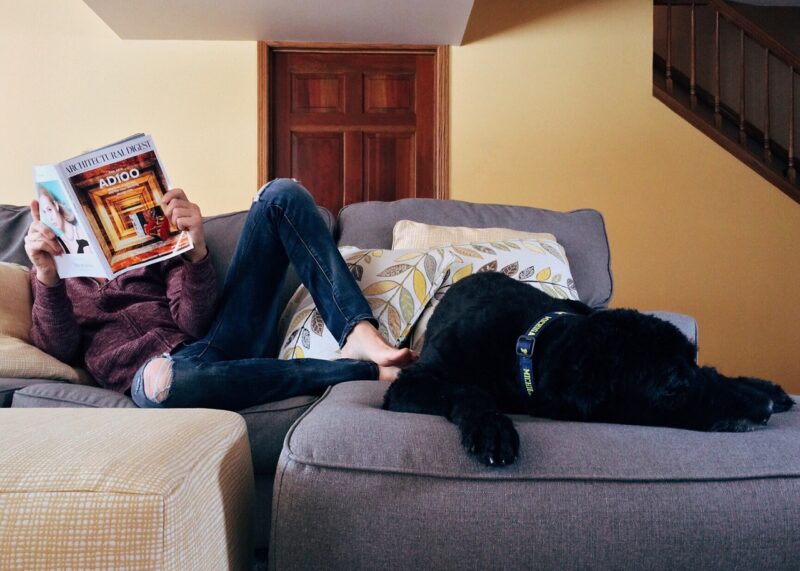 Keeping Your Furry Friend Happy: Tips for Giving Your Dog a Good Life in a Small Apartment