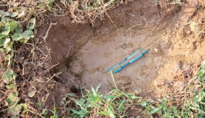 Don’t Ignore the Signs: Is It Time for Sewer Line Replacement?