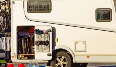 Dealing With Pests in Your RV Home