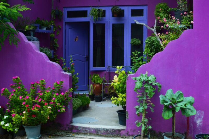 Unique and Vibrant: The Best Unusual Colors to Paint Your Home's Exterior