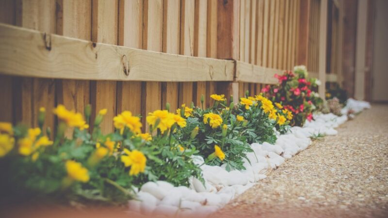 5+ Ways a Well-Chosen Fence Can Transform Your Home's Landscape