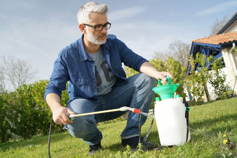 Exploring the Spectrum of Lawn Services: A Homeowner's Guide to Comprehensive Care