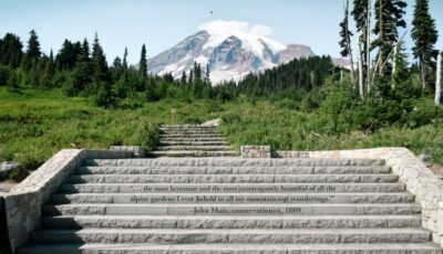 Top 8 Things to Do When Visiting Bellevue, WA