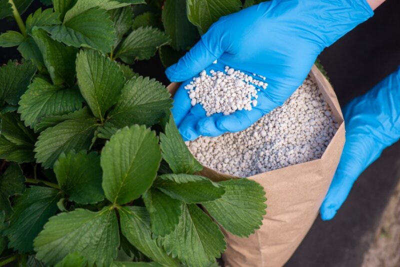 Top 7 Benefits of Using NPK Fertilizer for Your Plants