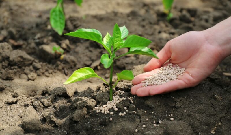 Top 7 Benefits of Using NPK Fertilizer for Your Plants