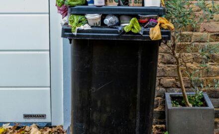 Understanding the Importance of Proper Waste Management